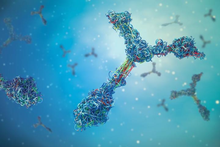 Eine medizinische 3D-Illustration eines Antikörpers (Immunglobulin) im Vordergrund.